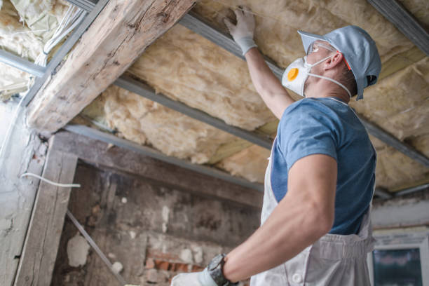 Best Blown-in Insulation  in Mahomet, IL