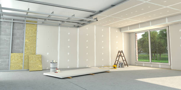 Best Insulation Removal  in Mahomet, IL