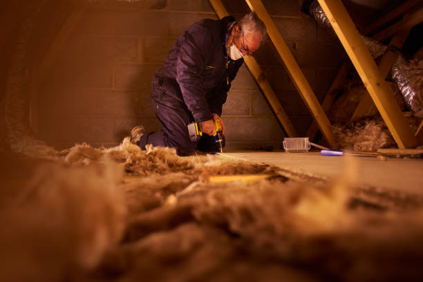 Best Commercial Insulation Contractor  in Mahomet, IL